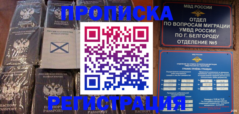 прописка гарантия в Куртамыше
